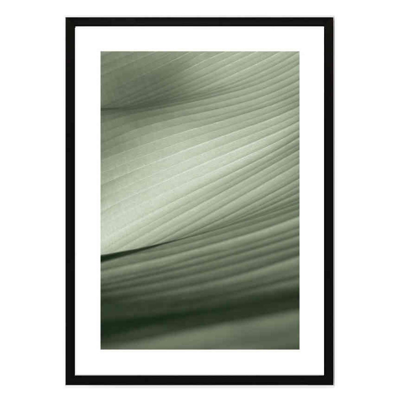 تابلو مدل Banana leaf کد 2489011032