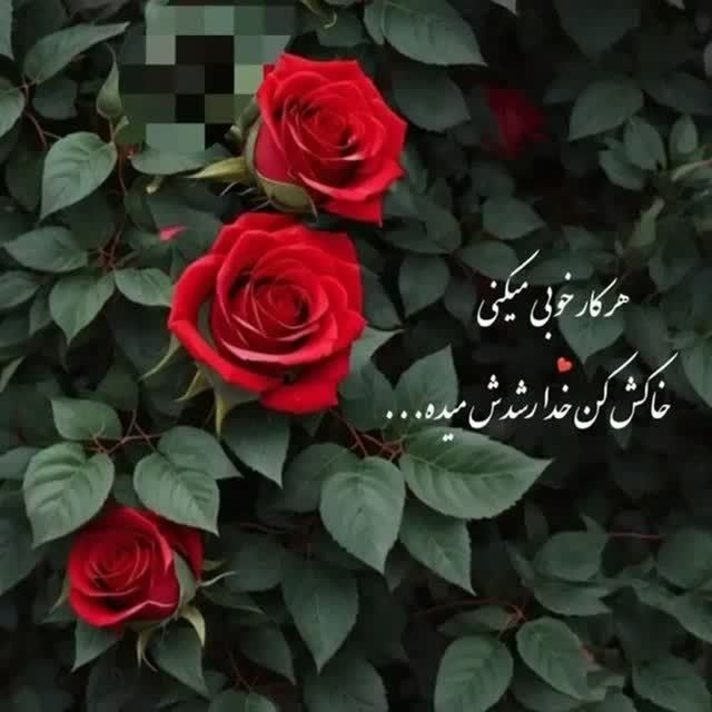 ملکی