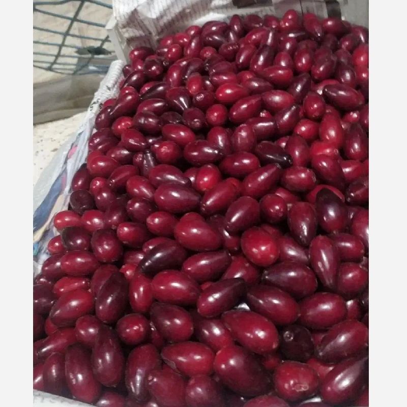 رامین سیاهپوش