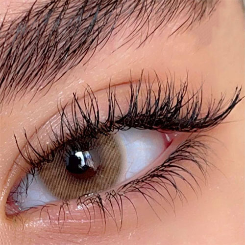 لنز چشم رنگی قهوه ای عسلی کینگ هانی آماندا