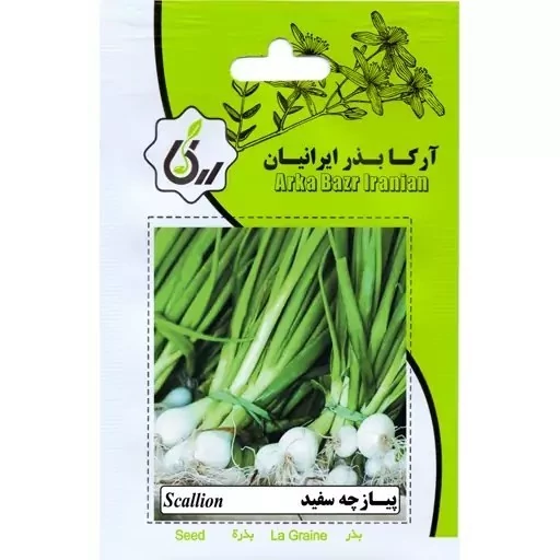 دراگون سفید ارکا بذر ایرانیان