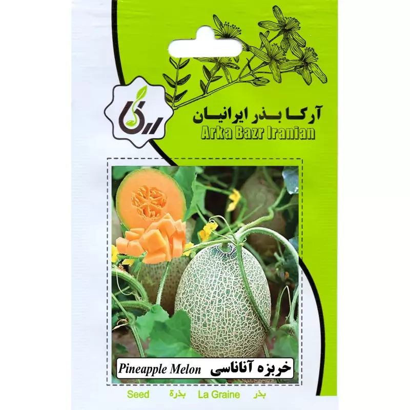 خربزه اناناسی ارکا بذر ایرانیان