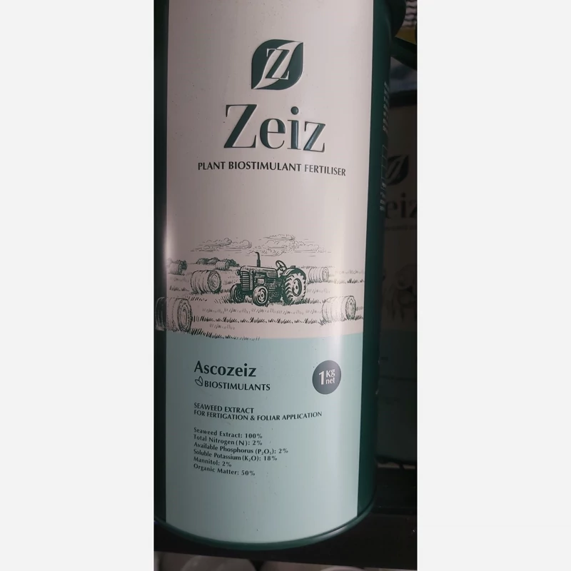 جلبک دریایی اسکوزایز 
