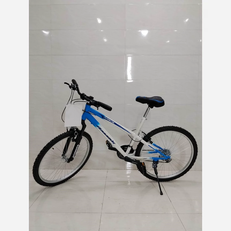 دوچرخه آساک چابک کوهستانی دو شاخ حرفه ای 26