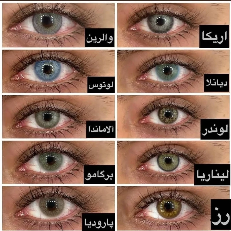 لنز رنگی سبز طوسی دور دار سالانه یونیکAllamanda
