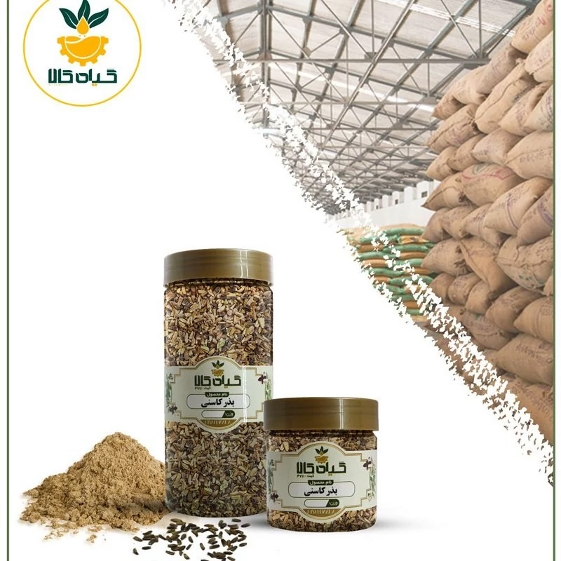  بذر کاسنی، بار امسالی و تازه(5کیلوگرم)