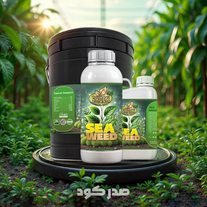 جلبک دریایی شوک کود جلبک دریایی شوک 5 لیتری