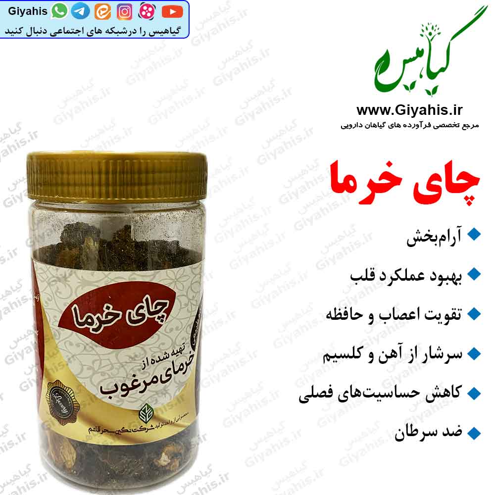 چای خرما