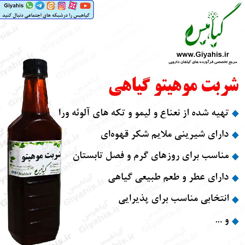شربت موهیتو گیاهیس