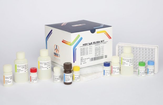 کیت الایزا HSV IgG (96تستی)