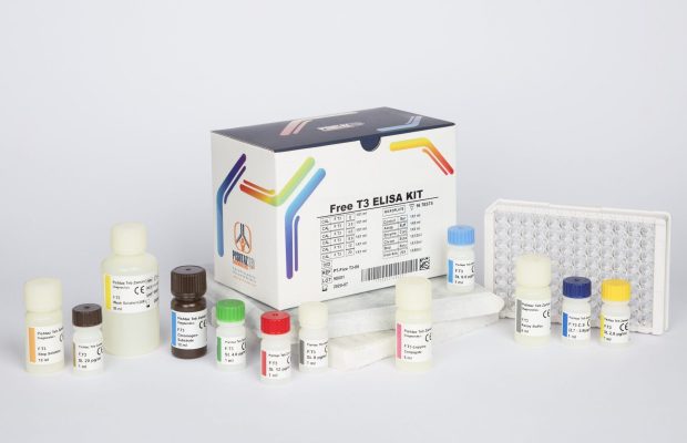 کیت الایزا FREE T3 (96تستی)