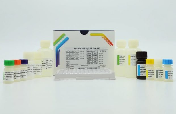 کیت الایزا ANTI dsDNA (96تستی)