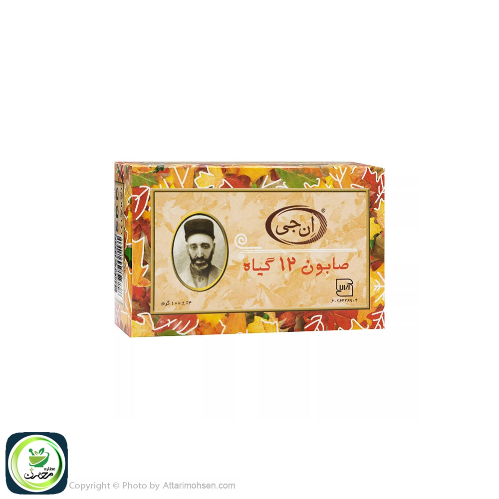 صابون 12 گیاه ان جی 110 گرمی | صابون گیاهی ضد ریزش، ضد شوره و تقویتکننده مو و پوست
