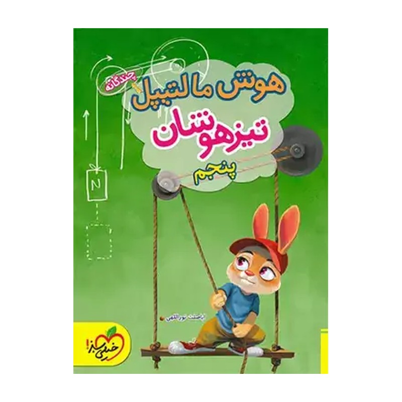 کتاب هوش مالتیپل تیزهوشان 5 پنجم دبستان (خیلی سبز)