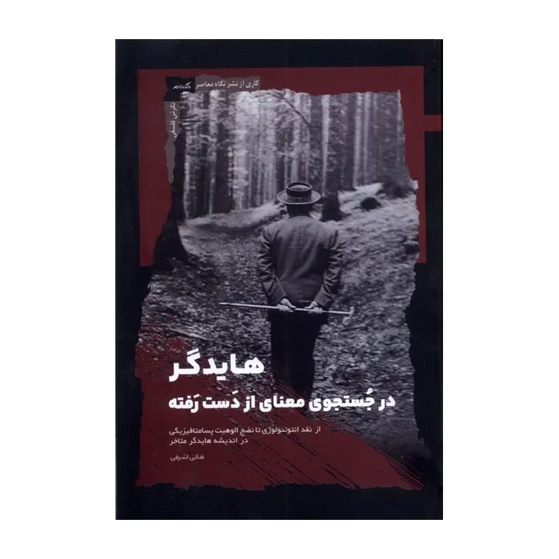 کتاب هایدگر در جستجوی معنای از دست رفته
