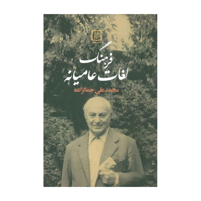 کتاب فرهنگ لغت عامیانه