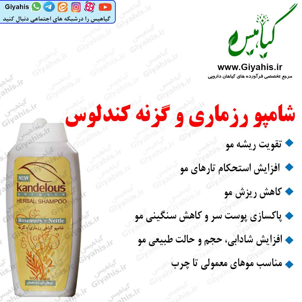شامپو رزماری و گزنه کندلوس