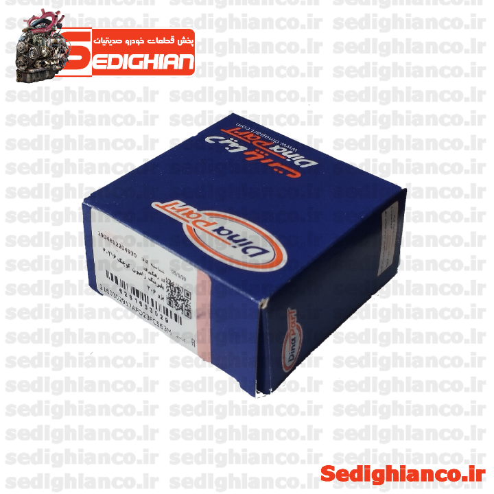 بلبرینگ ژامبون کوچک (بیرونی) 206/ دیناپارت