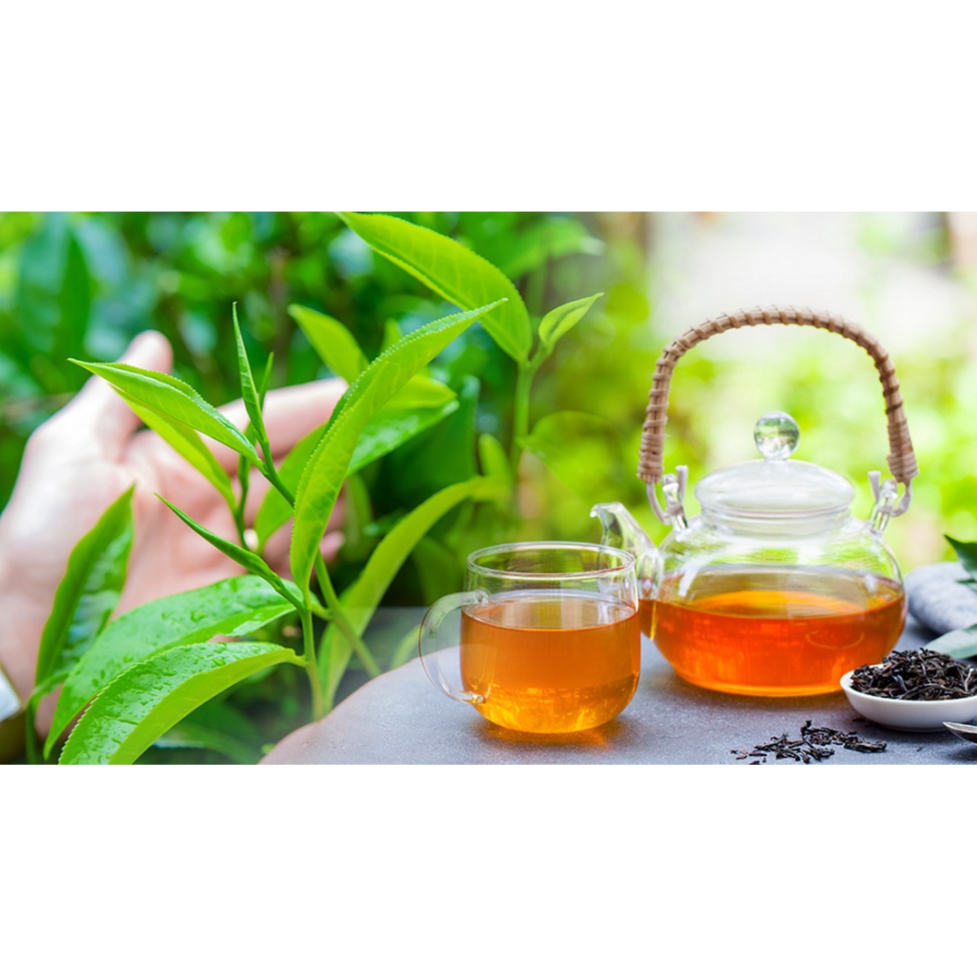 چای امیننت با عصاره ی اصیل هل (سری اکسکوزیت)