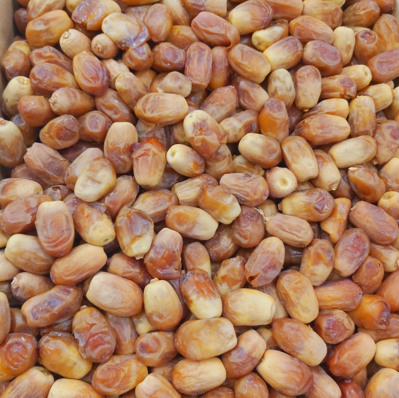 خرما زاهدی درجه یک