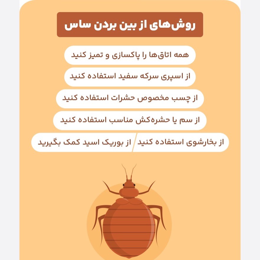 سم ساس بد باگ اوت کشنده ترین ساس کش ارسال رایگان
