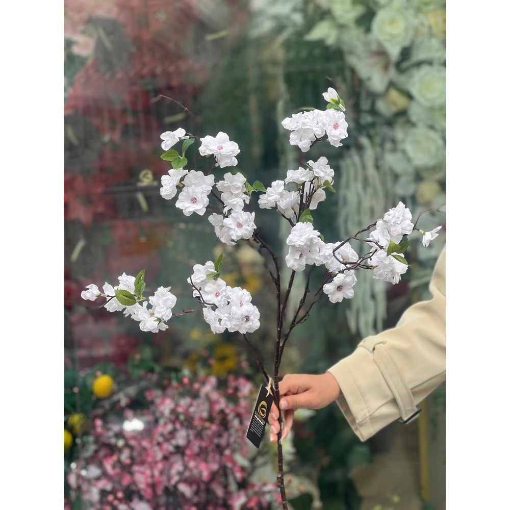 شاخه شکوفه افریقایی وارداتی سفید
