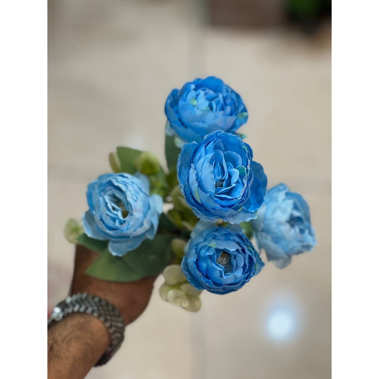 بوته پیونی آبی کمرنگ