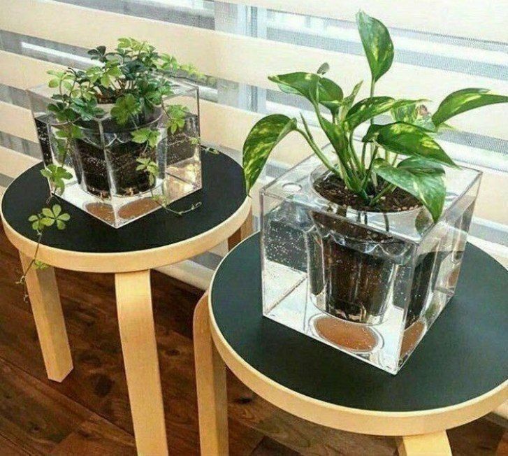 گلدان آکواریومی اکرولیک
