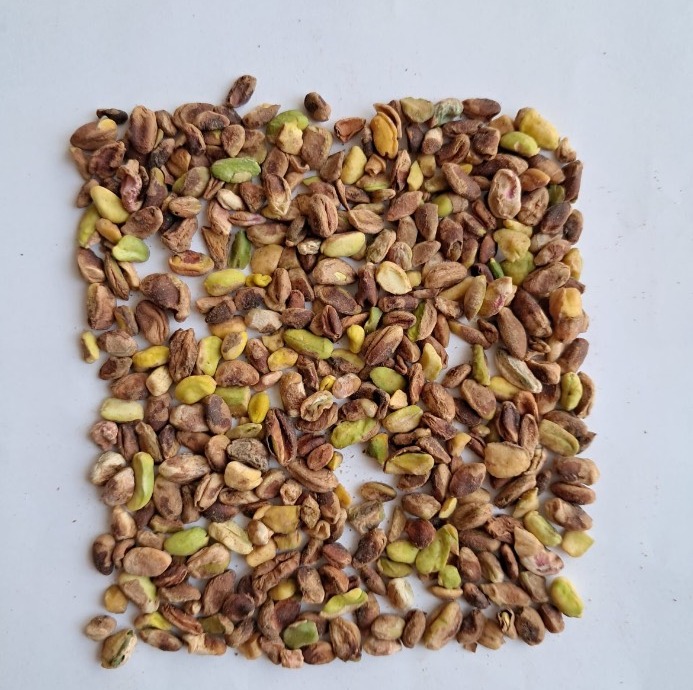 مغزپسته گندمی ریز 5 کیلویی (درجه 2)