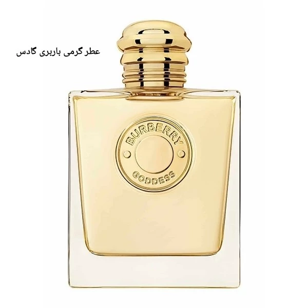 عطر باربری گادس .گریدH.زنانه .یک میل(حتما قبل از ثبت سفارش توضیحات محصول مطالعه شود)
