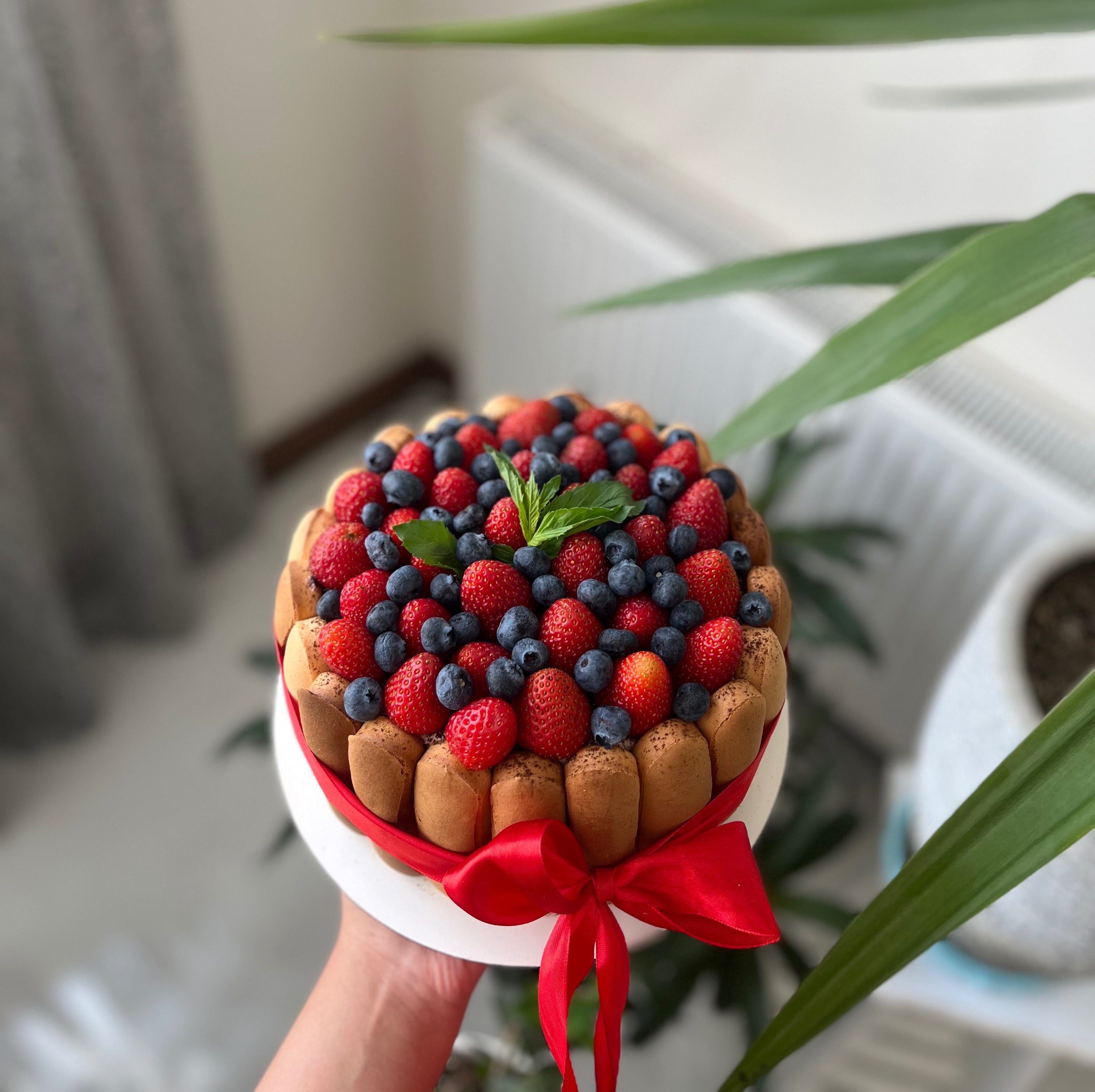  تیرامیسو با دیزاین توت فرنگی و بلوبری 