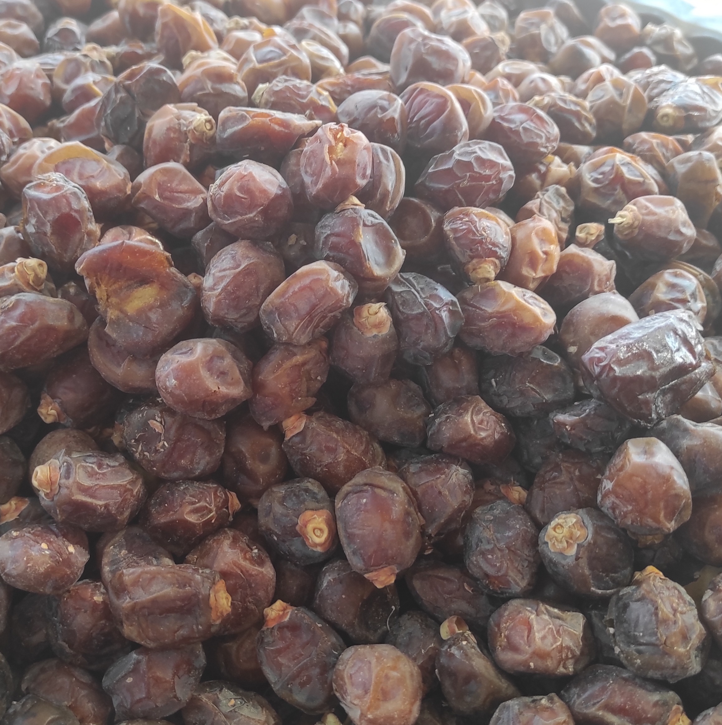 خرمای خاصویی
