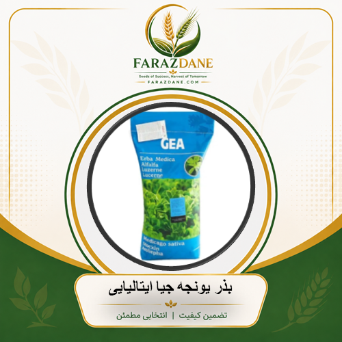 بذر یونجه جیا ایتالیایی