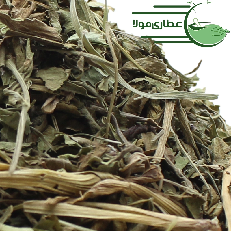 غازیاقی (برگ)