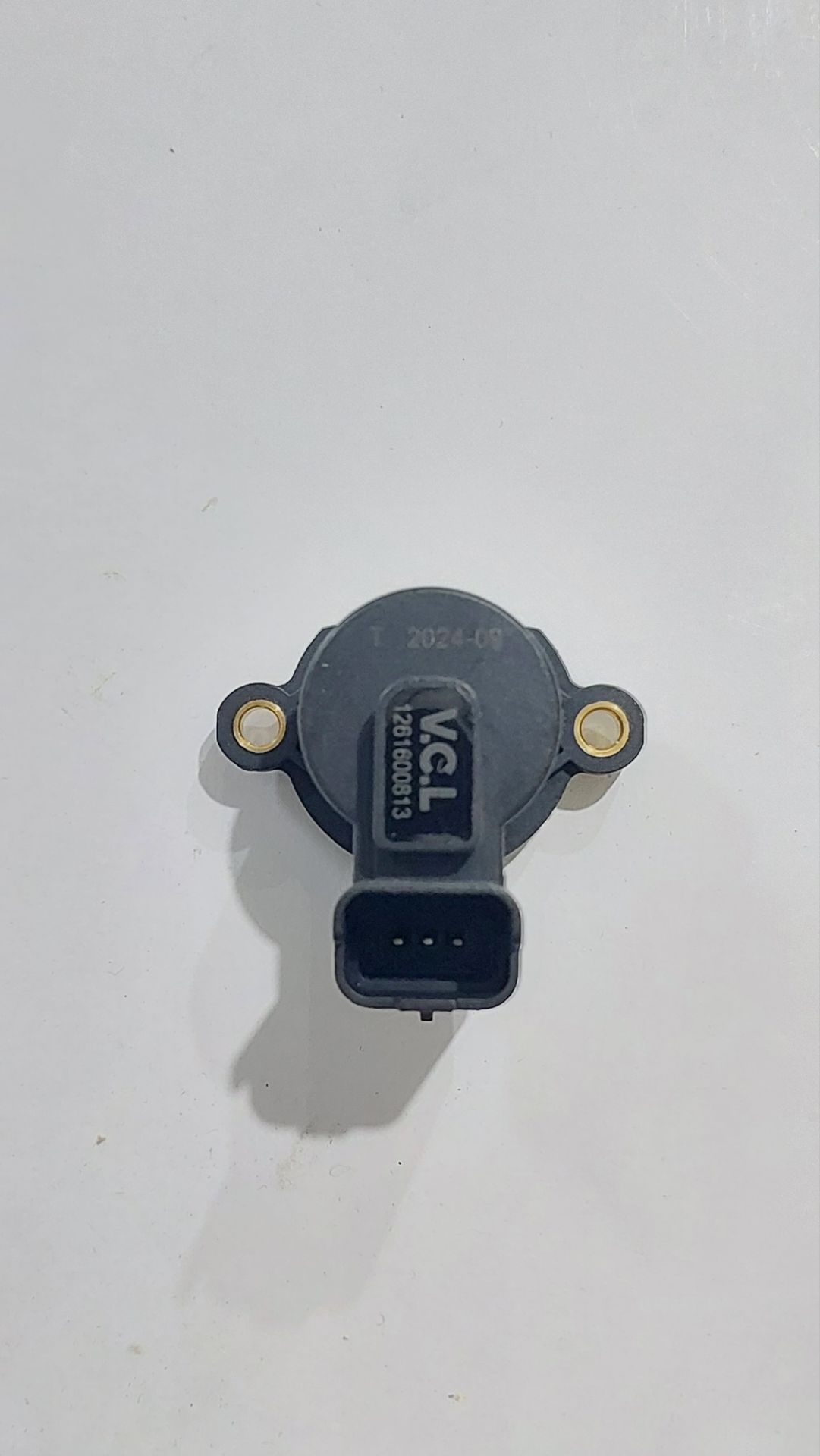 پتانسیومتر دریچه گاز پلمیری 206 VCL D17