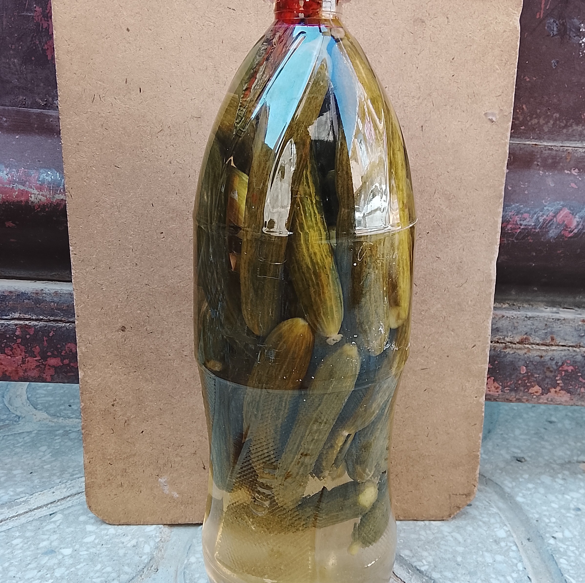 خیار شور