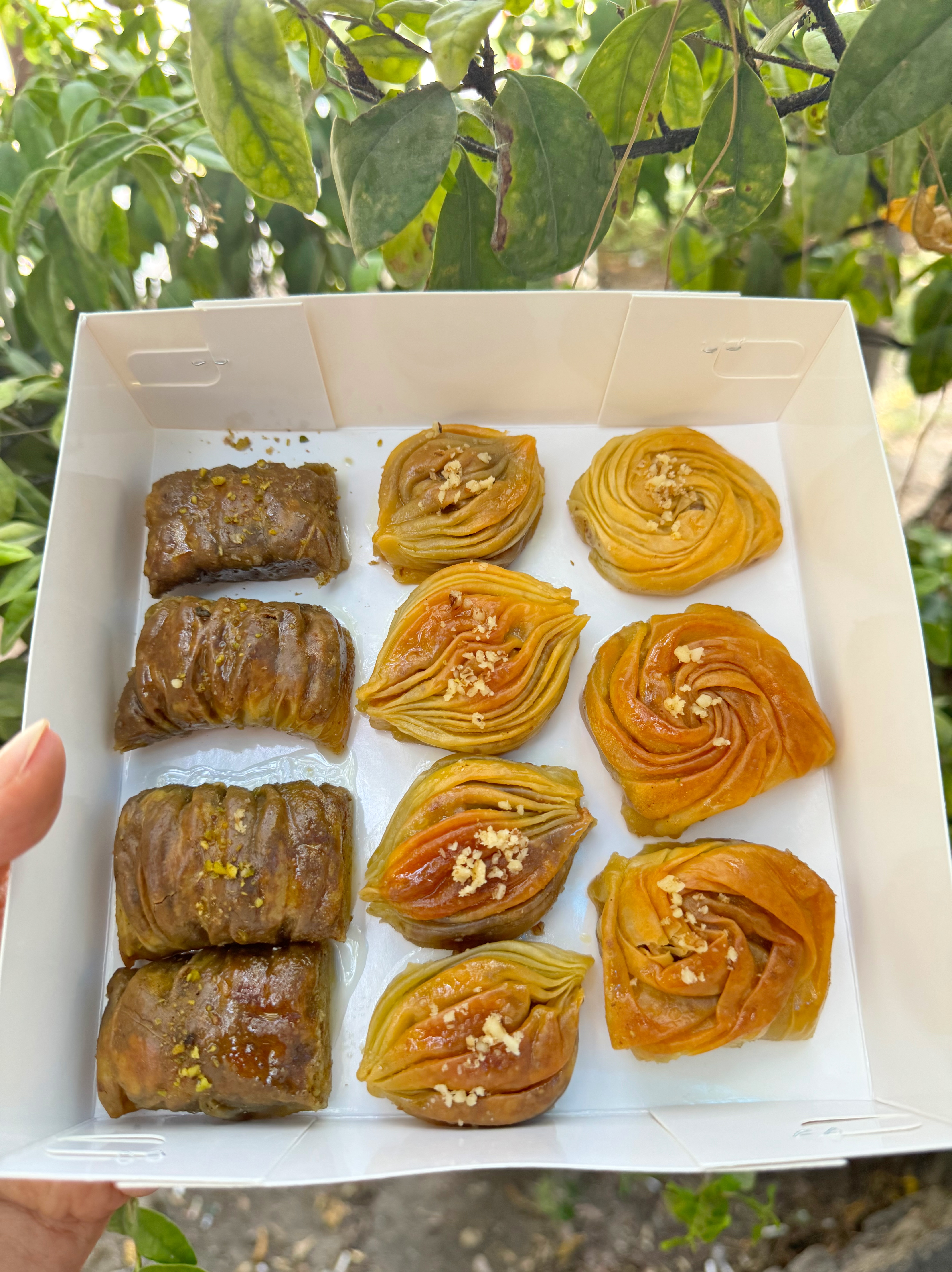 پک باقلوا استانبولی چین چیلا