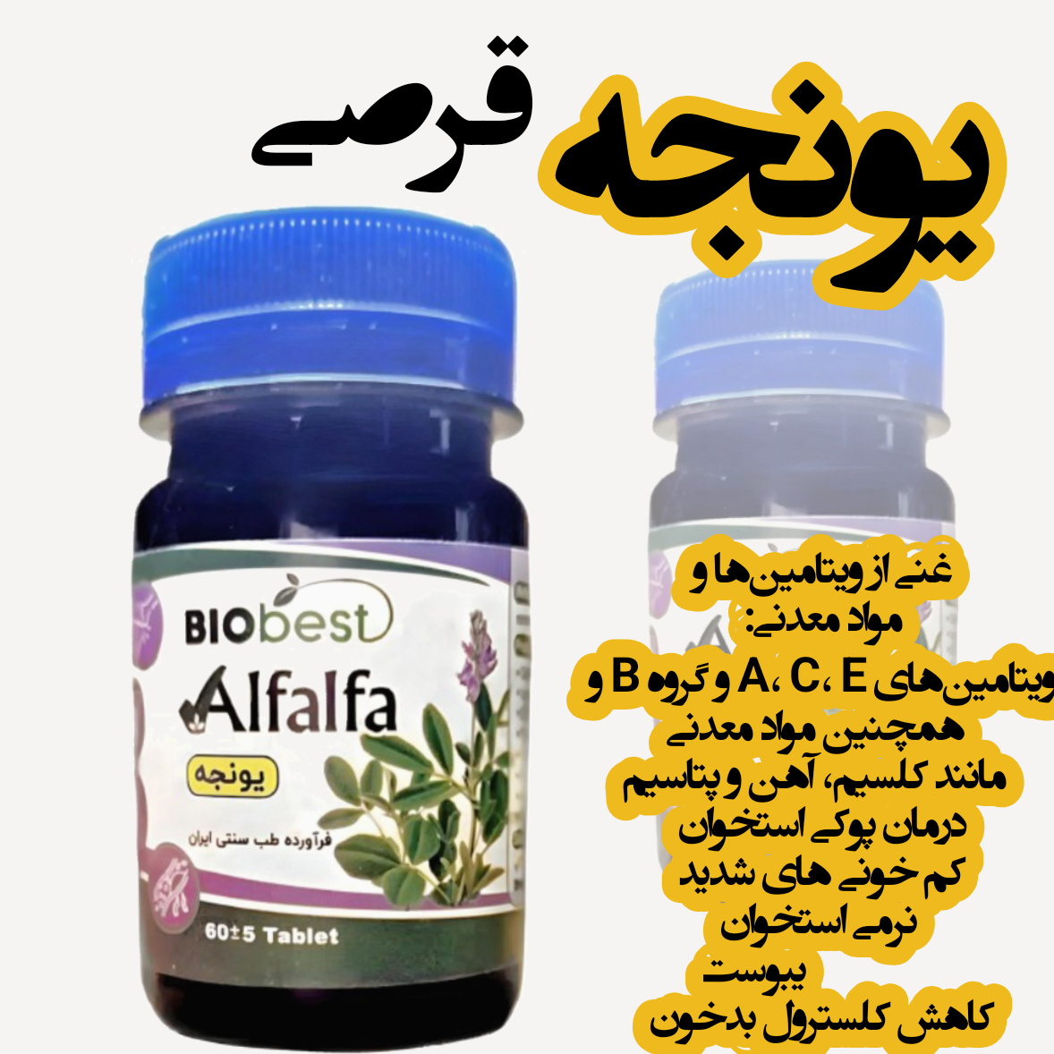 قرص یونجه عافیت گستر (40 گرم) / یونجه ، گیاه مظلوم خونساز 