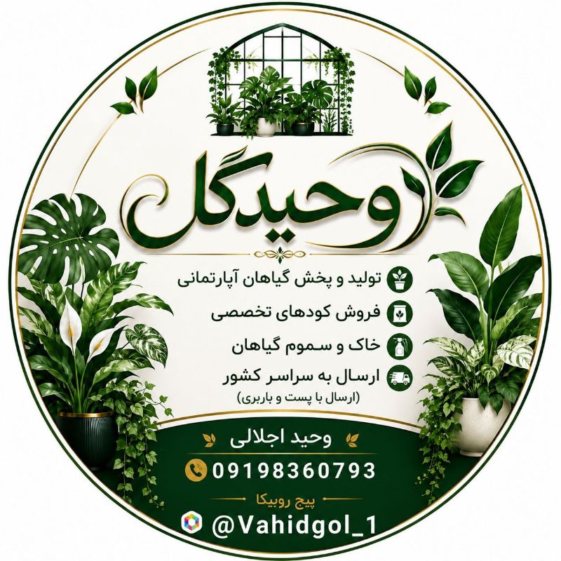 گلخانه وحیدگل