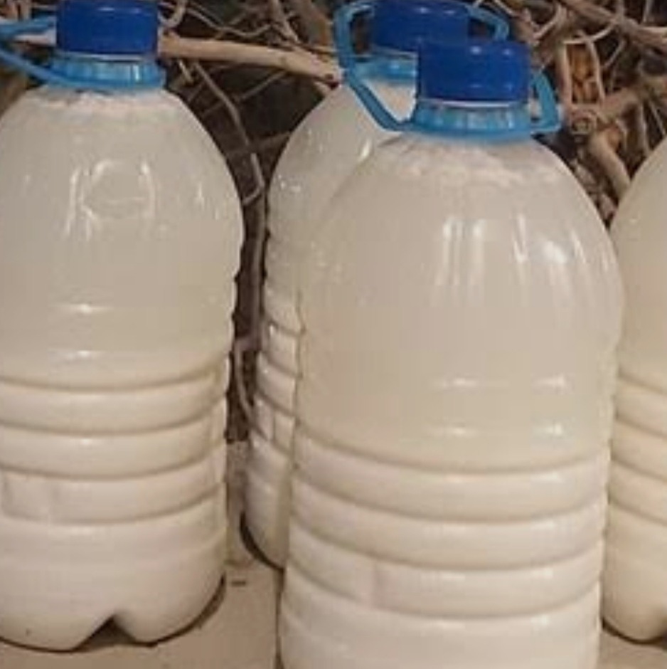 دوغ گوسفندی اعلا با طمع عالی 