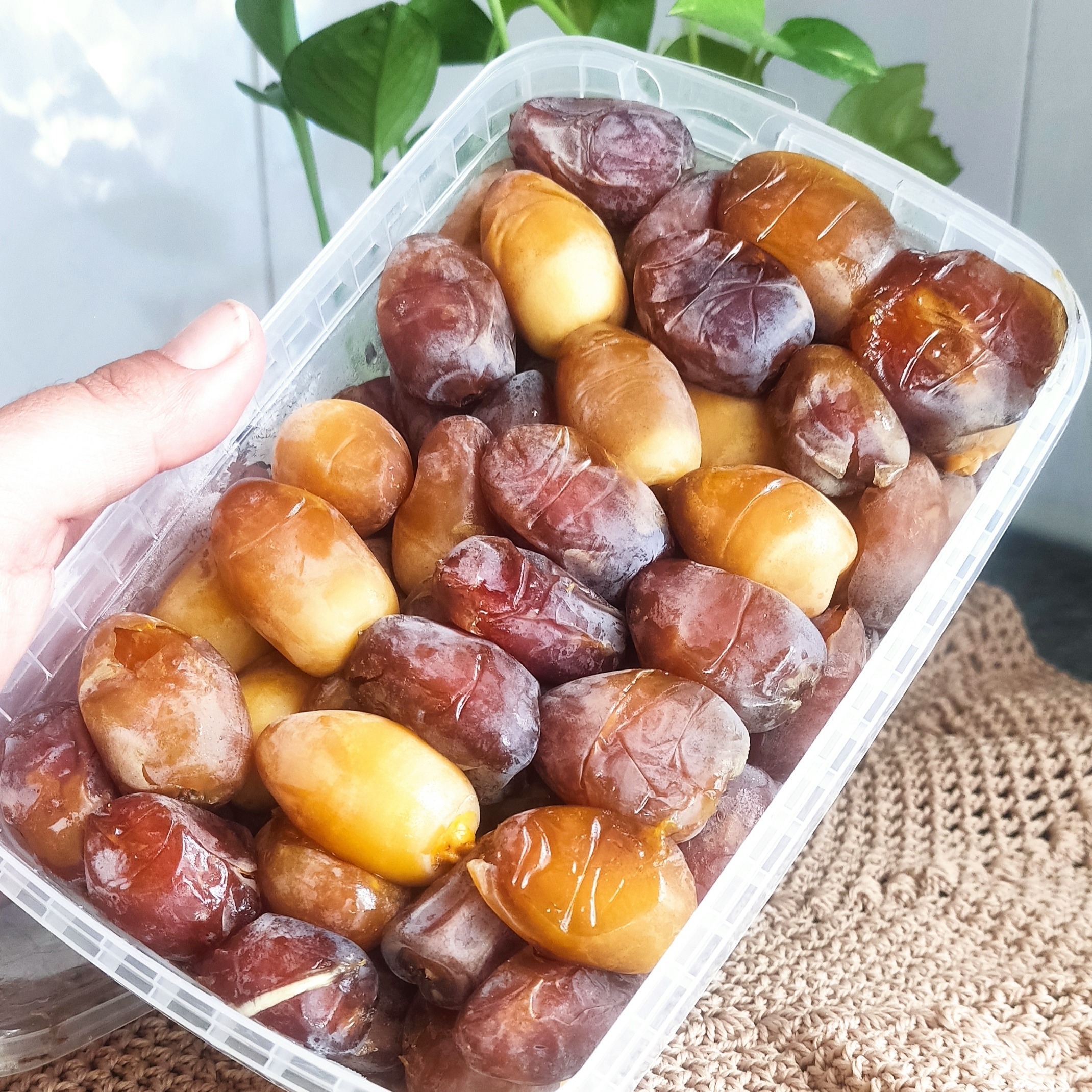 رطب عسلی کبکاب درجه یک 12 کیلو ارسال با کالارسان چاپار 