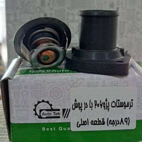ترموستات با در پوش 
