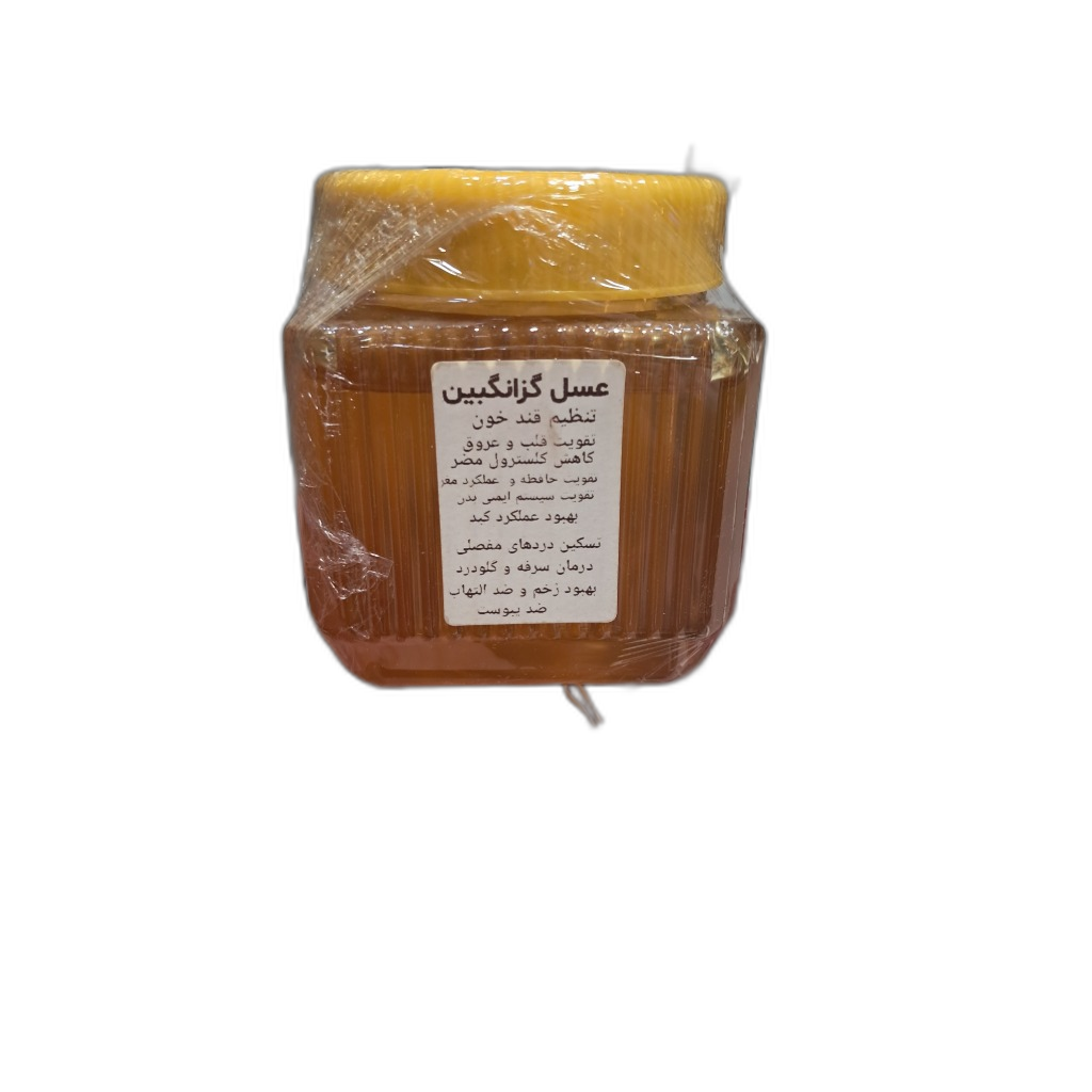 عیل گزانگبین کوهدار صد درصد ارگانیک 500گرمی
