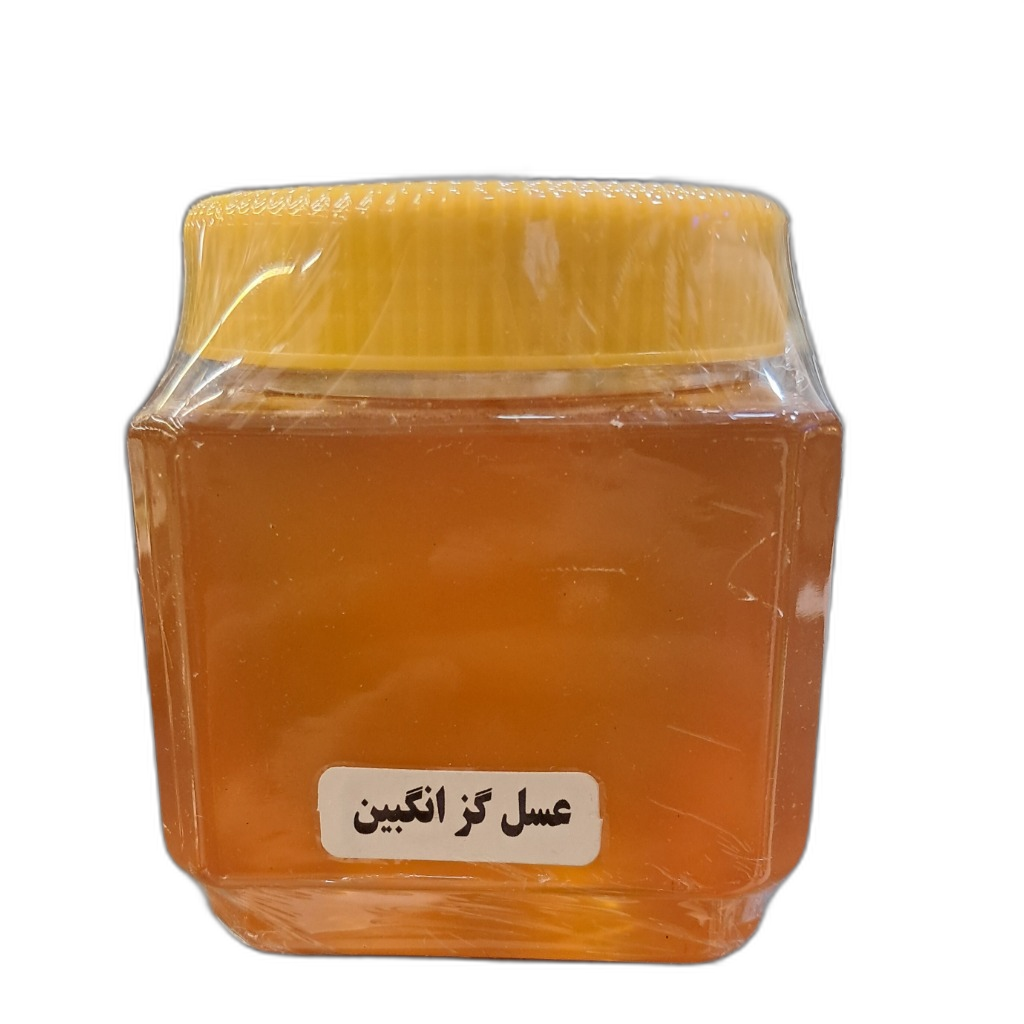 عسل گزانگبین کوهدار صد درصد ارگانیک 500گرمی