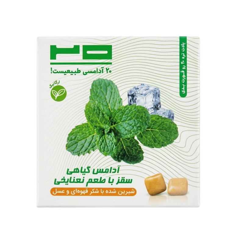 آدامس طبیعی سقز نعنا یخی بیست - 20 گرم
