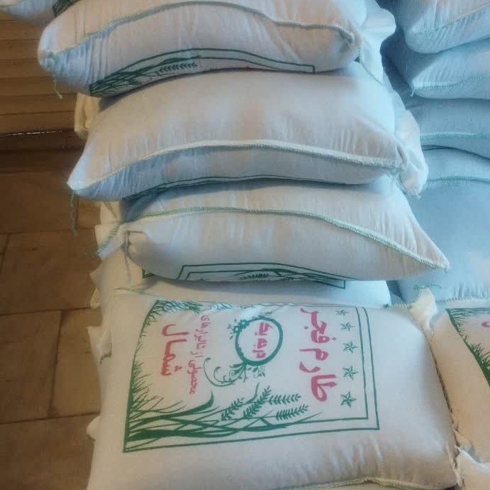 برنج فجر گرگان