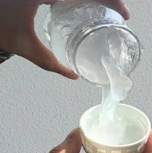 تگزاپون صدفی