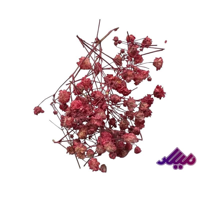 گل خشک ژیپسو صورتی G48