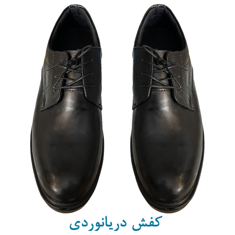 کفش دریانوردی