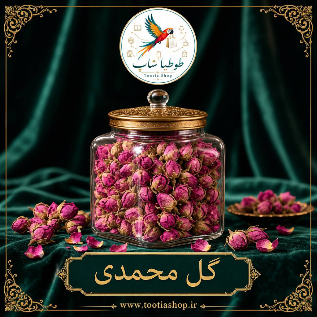 غنچه گل محمدی